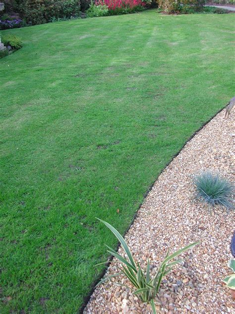Learn how to edge your lawn and maintain your yard all season long. Decor: Captivating Metal Landscape Edging For Garden ...