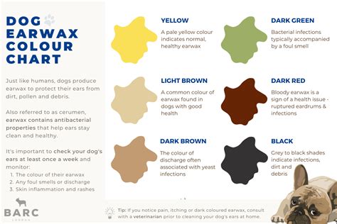 Dog Earwax Colour Chart And Care Guide Barc London