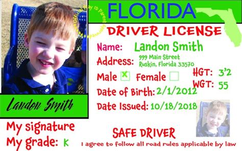 Printable Play Drivers License For Kids