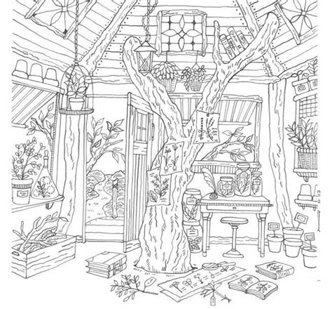 Coloring Books For Adults Stores