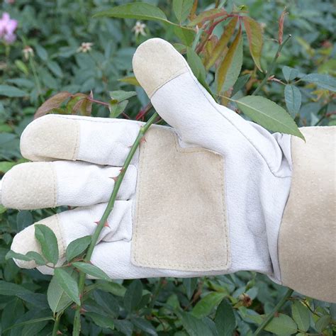 5 Best Gardening Gloves For Thorns To Protect Hands Updated