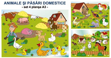 Planse Cu Animale Domestice Limbaj Si Comunicare Eduprescolarro