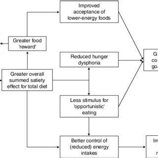 What is the satiating diet? (PDF) Potential benefits of satiety to the consumer: Scientific considerations