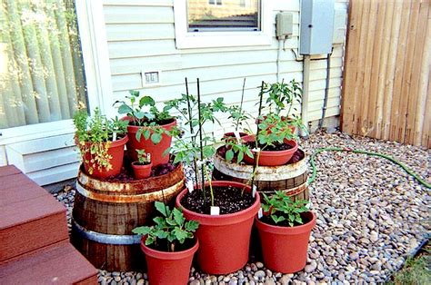 Yes We Can Be An Urban Gardener Container Gardening