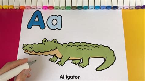 Kids Color And Learn The Alphabet Letter A And Alligator Youtube