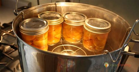 Water Bath Canning How To Use Your Canner With Print Checklist