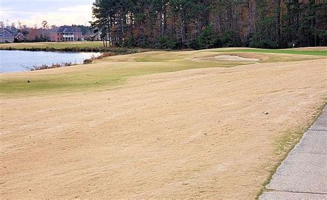 Heron Ridge Golf Club Virginia Beach 2020 All You Need To Know