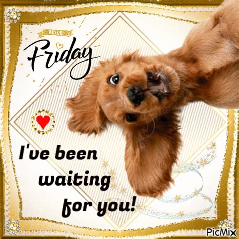 Hello Friday Ive Been Waiting For You Pictures Photos And Images