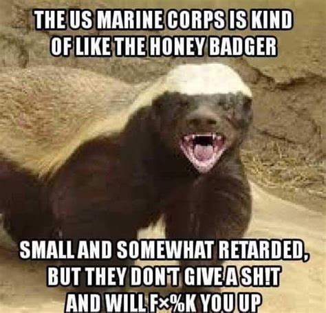 Honey Badgers Dont Care In 2020 Military Jokes Marine Corps Humor