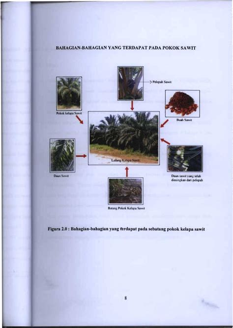 Karangan Autobiografi Aku Sebatang Pokok Kelapa Sawit Vrogue Co