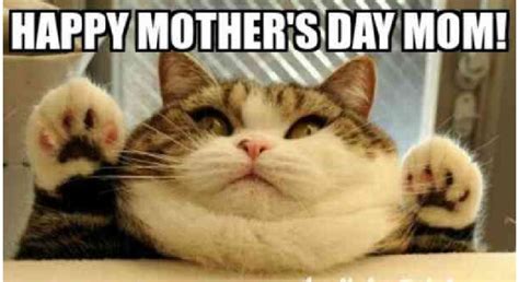 Happy Mothers Day Memes Funny