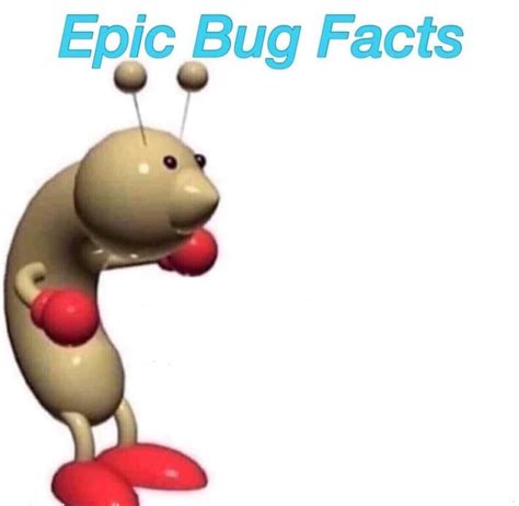 Epic Bug Facts Blank Template Imgflip