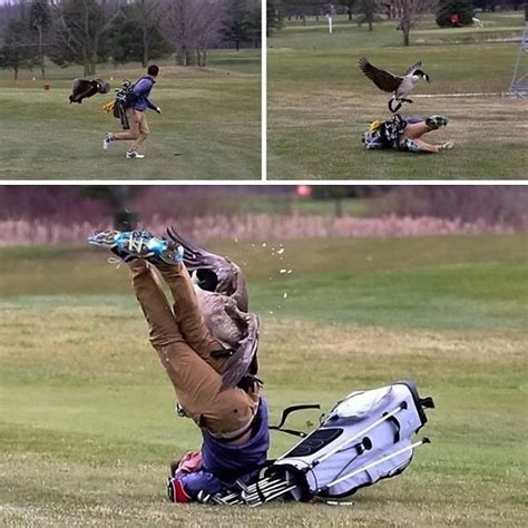 Golf Pictures And Jokes Funny Pictures And Best Jokes Comics Images