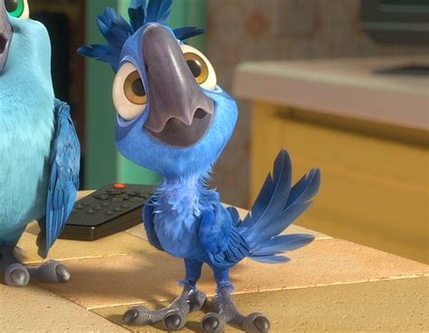 Tiagogallery Rio Movie Cartoon Birds Disney Princess Pictures