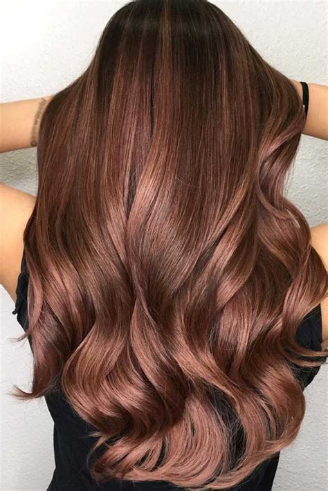 Hazelnut Hair Color Dye Stephani Gossett
