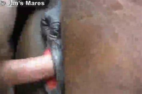 Mare Pussy Squirting Adult Quality Archive Free Comments