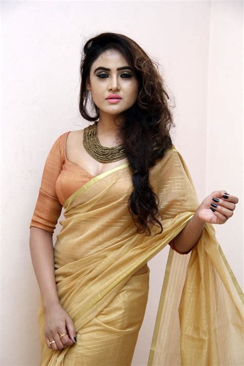 Telugu Hot Actress Sony Charishta Latest Photos In Golden Brown Saree