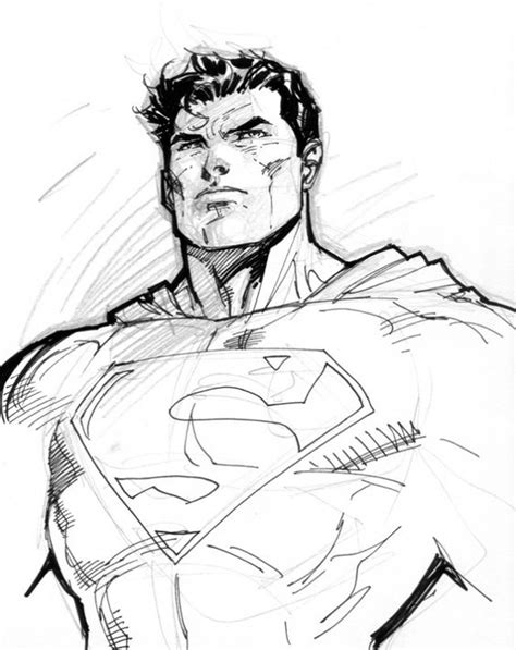 Superman Sketch Art By Jim Lee Super Heroes
