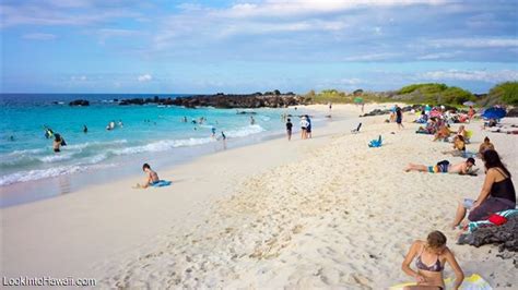 Best Beaches On Big Island Hawaii Information On Big Island Hawaii