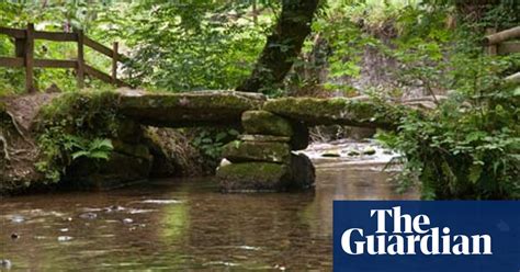 The Great Forest Sell Off Trees And Forests The Guardian