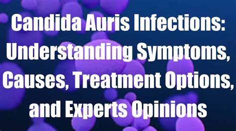 Candida Auris Infections Understanding Causes And Treatment