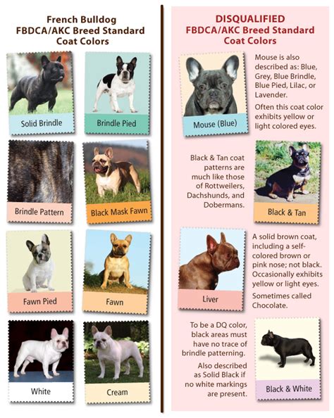 There are 237 french bulldog chart for sale on etsy, and they cost $16.11 on average. Taylor Ranch Kennels
