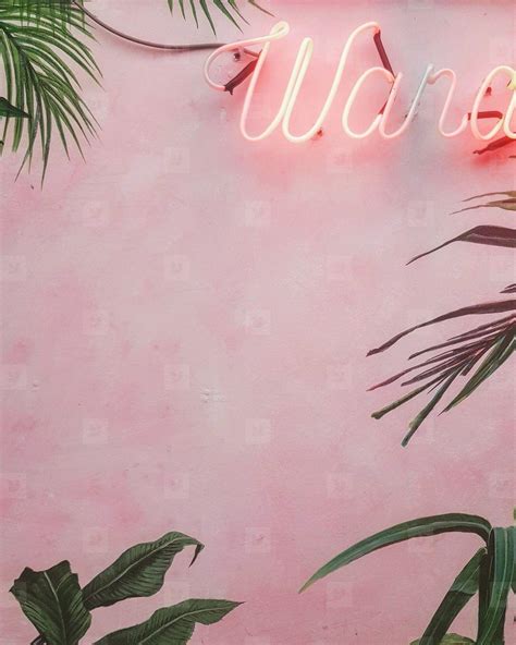 Soft Pink Backgrounds Wallpaper Cave