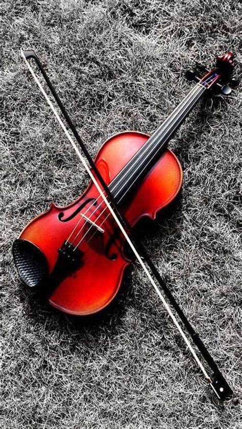 Cool Violin Música De Violín Violines La Música Es Vida