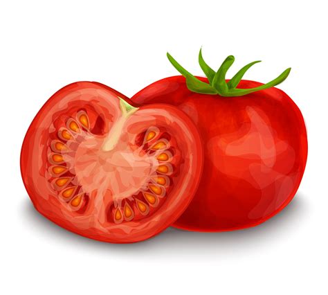Desenho De Um Tomate Modisedu