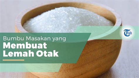 Micin Atau Vetsin Senyawa Monosodium Glutamat Msg Yang Diciptakan Kikunae Ikeda Youtube