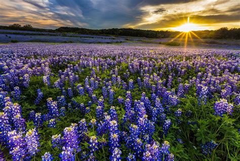 30 Most Beautiful Places To Visit In Texas The Crazy Tourist