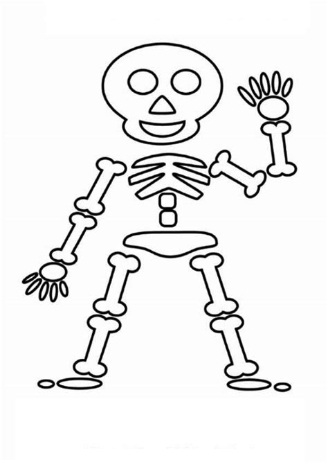 Free Skeleton Pictures For Kids Download Free Skeleton Pictures For