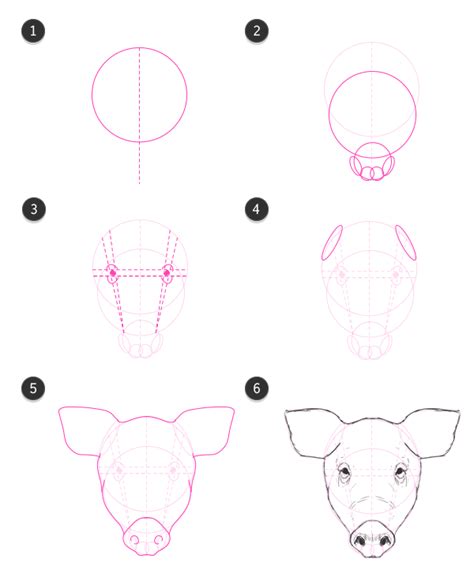 How To Draw Animals Domestic Pigs Wild Boars And Warthogs Pig