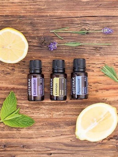 How To Join Doterra Plus A Membership Overview Best Essential Oils Lavender Oil Benefits