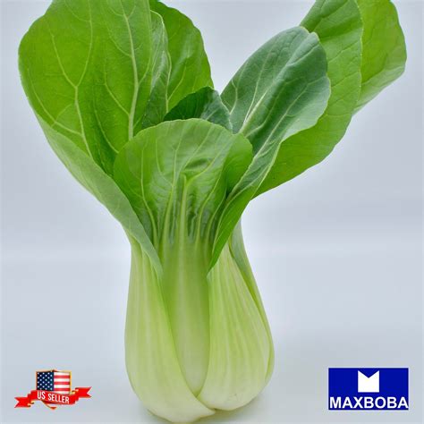 Cabbage Seeds Pak Choi White Stem Bok Choy Non Gmo Heirloom