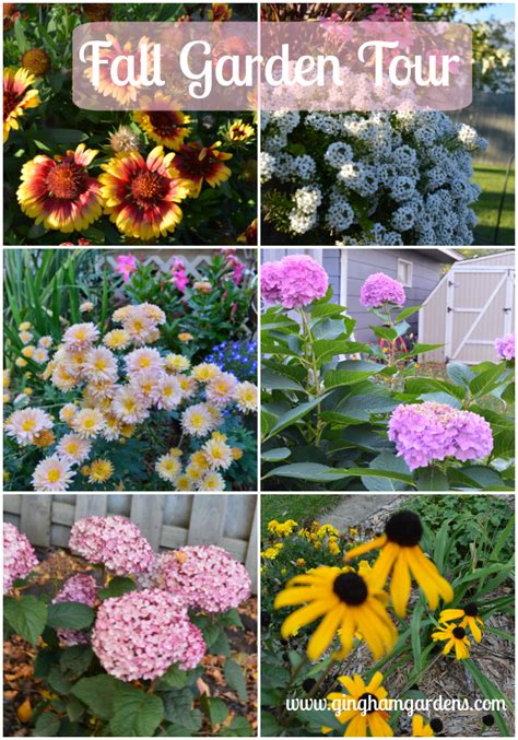 Fall Flower Garden Inspiration Plus Decor Ideas Gingham Gardens