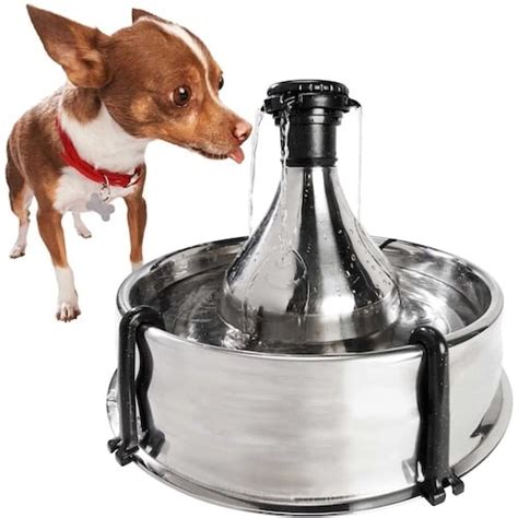 The Best 8 Dog Water Fountains To Encourage A Dog To Drink