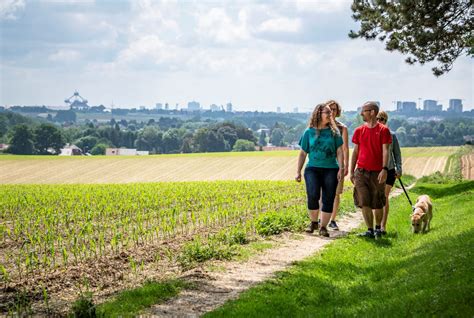Stay On Track With Walking Routes In The Countryside This Summer The