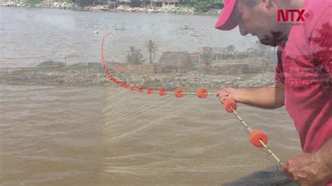 Pesca En Coatzacoalcos Abastece Al Mercado De La Viga En La Ciudad De