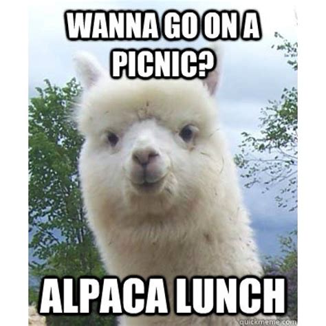15 Of The Best Animal Puns Youve Ever Heard Alpaca Funny Animal