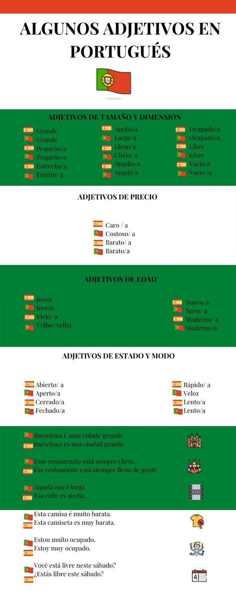 Los Adjetivos En Portugu S Worksheet