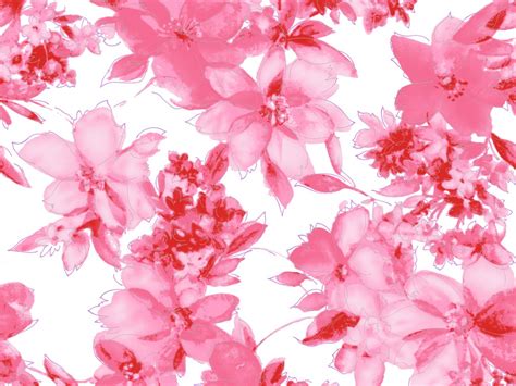 Pink Flowers Wallpaper Laptop Hd 4743 Wallpaper