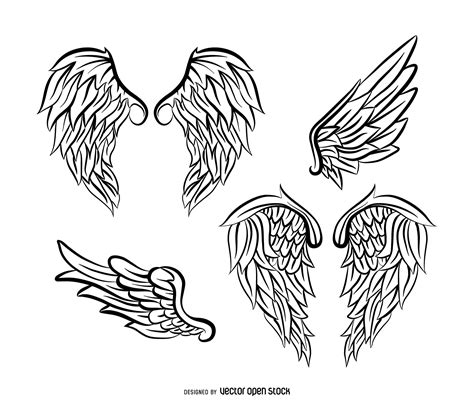 Set Of Illustrated Angel Wing Outlines Different Shapes And Styles To