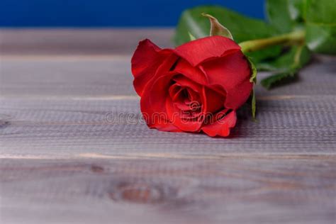 Red Rose On A Wooden Table Stock Image Image Of Green Flower 174222375
