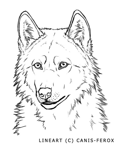 Wolf Face Free Lineart Wolf Face Drawing Wolf Sketch Wolf Drawing