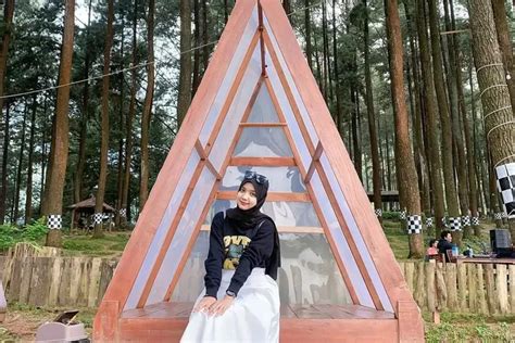 Wisata Hutan Pinus Nglimut Kendal Jawa Tengah Tempat Camping Hits