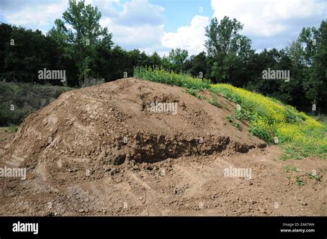 Loam Soil Hi Res Stock Photography And Images Alamy