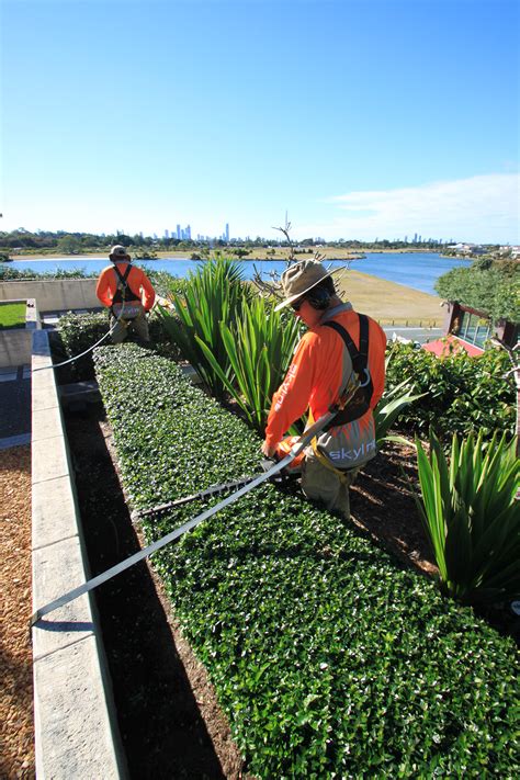 Where else could consecutive job urban planners have cited the greening of roofs and courtyards in cities as effective approaches to cut down. Do Community Garden Green Roofs Work? - Skyline Landscape ...