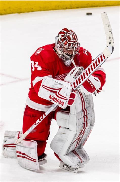 Mrazek's absence means the hurricanes will lean more on on james reimer, who entered the year as part of a tandem with mrazek, and alex nedeljkovic. Petr Mrazek | Red wings hockey, Detroit red wings, Hockey ...