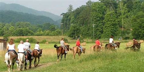 Walden Creek Stables Attractions In Pigeon Forge Smoky Mountains